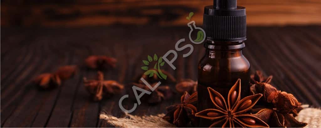 Buy Anise Natural Essential Oil